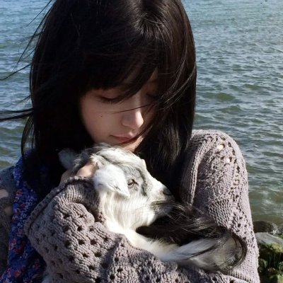 来自收容所的爱