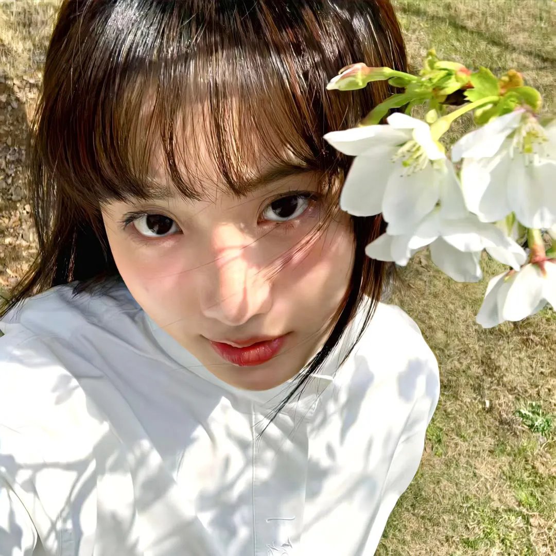 魔法少女操盘手